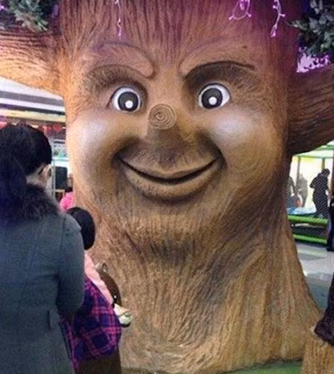 Cây mặt hoạt hình.