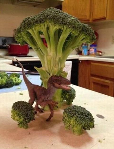 Khủng long bạo chúa dưới bóng cây súp lơ xanh mát.