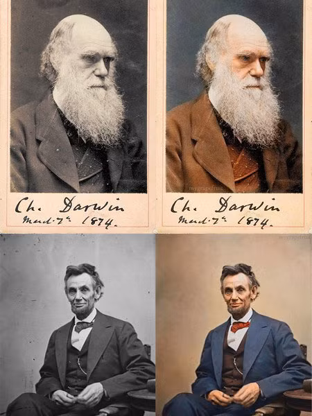 4. Cả hai đều có con yểu mệnh: Edward Lincoln qua đời vài ngày trước sinh nhật lần thứ 4. Trong khi đó, Anne Elizabeth Darwin chết vì mắc phải căn bệnh lạ vào năm 10 tuổi.