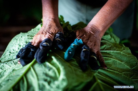 Công nhân ở đây dùng bao tay bằng vải lao động phù hợp với quy trình sản xuất.