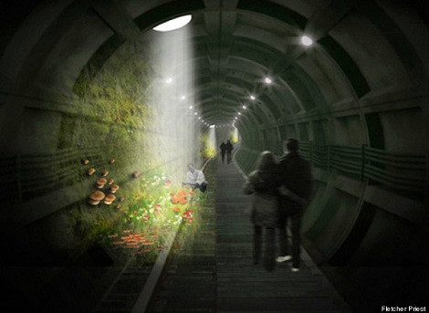 Popdown - Luân Đôn: Popdown sử dụng lại các đường hầm ở London để tạo ra các công viên và trang trại nấm ảo ảnh.