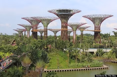 Vườn By The Bay – Singapore: Đây sẽ trở thành biểu tượng kì vĩ của Singapore. Công viên ven biển này biến Singapore thành "Thành phố trong khu vườn thiên nhiên".