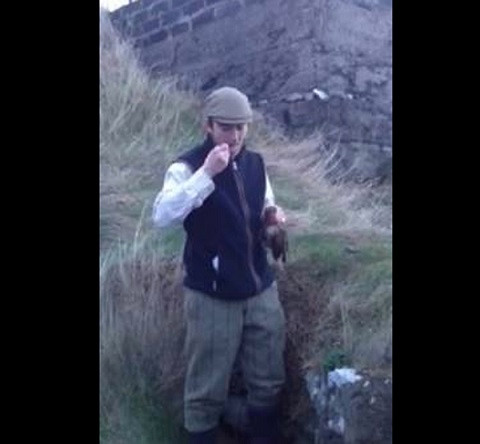 Người đàn ông người Ireland này đã ăn sống một con chim, rồi uống một chút rượu gừng, sau đó anh ta thoát y và nhảy xuống dòng nước biển lạnh ngắt bên dưới vách đá.