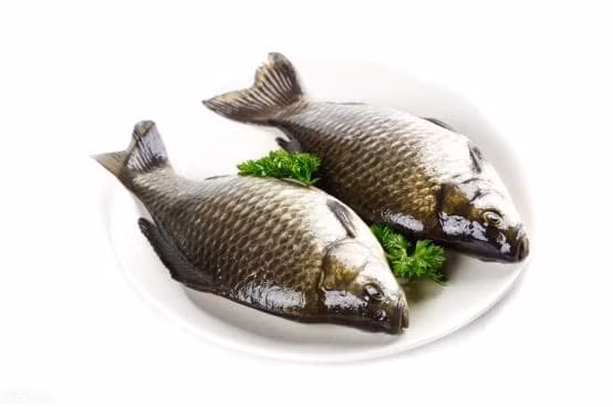 Kinh nghiem chon mua ca diec dat va ca diec ao-Hinh-3