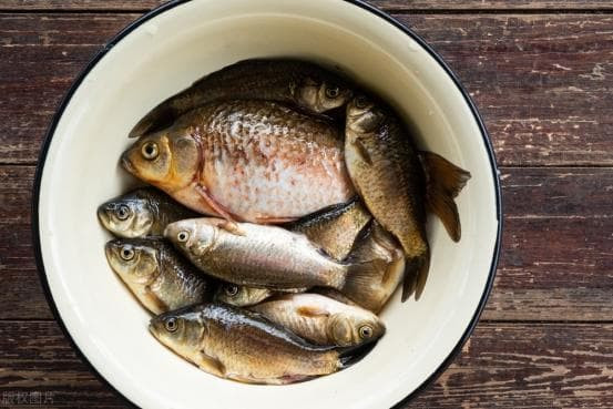 Kinh nghiem chon mua ca diec dat va ca diec ao-Hinh-7