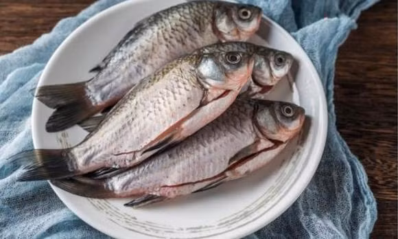 Kinh nghiem chon mua ca diec dat va ca diec ao-Hinh-6