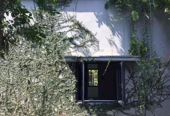 Ngoi nha ngap tran khong gian xanh nhu rung nhiet doi o Nghe An-Hinh-15