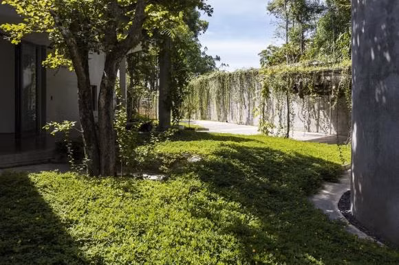 Ngoi nha ngap tran khong gian xanh nhu rung nhiet doi o Nghe An-Hinh-7