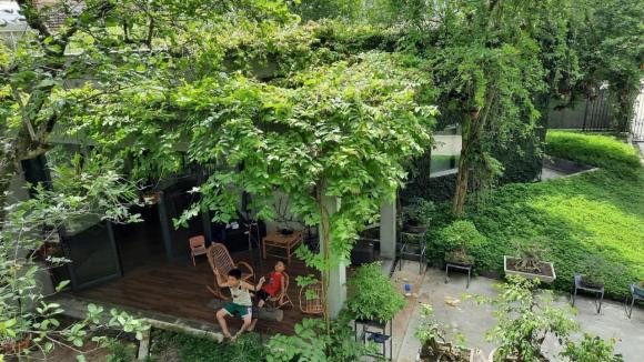 Ngoi nha ngap tran khong gian xanh nhu rung nhiet doi o Nghe An-Hinh-8