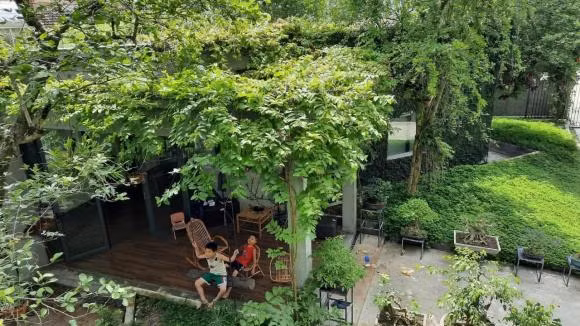 Ngoi nha ngap tran khong gian xanh nhu rung nhiet doi o Nghe An-Hinh-8