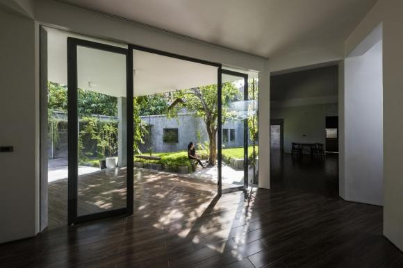 Ngoi nha ngap tran khong gian xanh nhu rung nhiet doi o Nghe An-Hinh-16