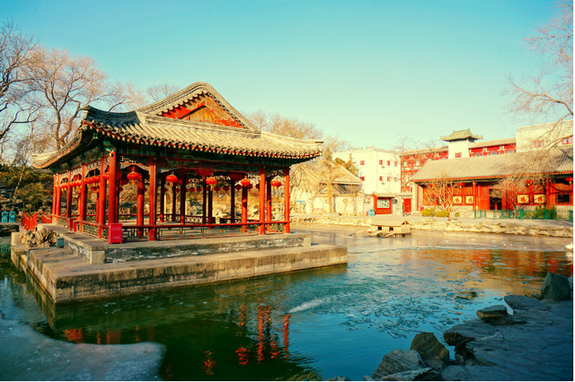 2 mon do quy giup gia dinh Hoa Than thoat kiep nan diet toc-Hinh-4