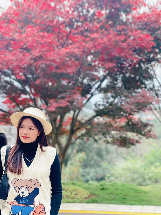 Chủ quán cà phê mở cổng, không thu vé để du khách thỏa thích khám phá và chụp ảnh cùng loại cây này.