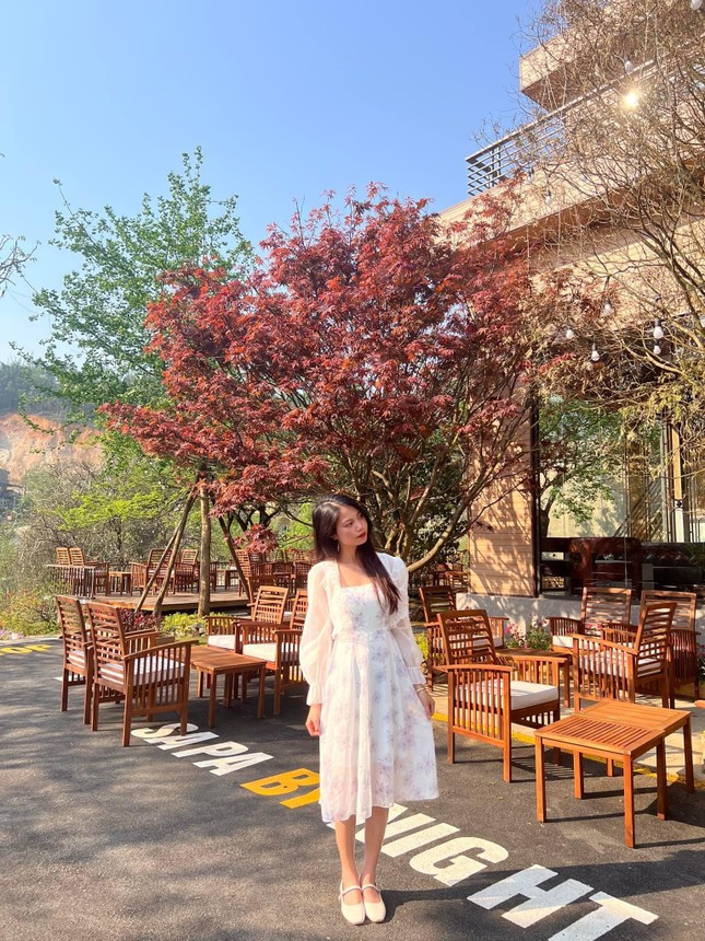 Chủ quán cà phê chia sẻ, trước khi quyết định đem những cây phong về trồng, đã mời chuyên gia người Nhật về để nghiên cứu thổ nhưỡng ở Sa Pa.