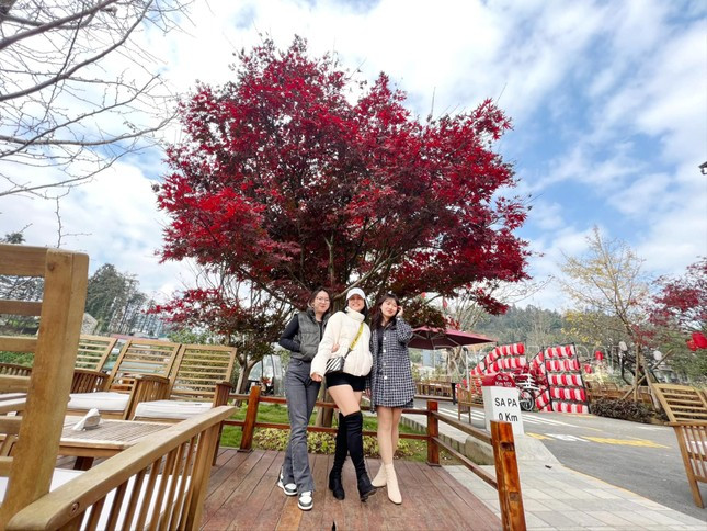 Không cần phải sang Nhật hay Hàn Quốc mới có thể check-in được với phong lá đỏ.