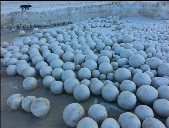 Ngo ngang hang nghin qua bong bang tuyet troi dat vao bo bien