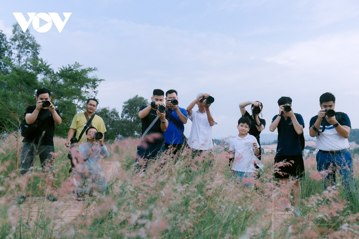Không chỉ thu hút những người thích lên ảnh, đồi cỏ hồng ở Chí Linh còn khiến rất nhiều nhiếp ảnh gia tìm đến đây để sáng tác.