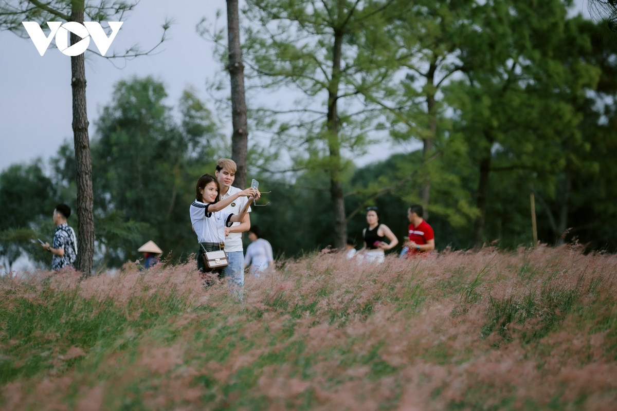 Nhiều người liên tưởng nơi đây với Đà Lạt bởi khung cảnh cỏ hồng mềm mại, bầu trời trong xanh, xa xa thấp thoáng núi đồi.