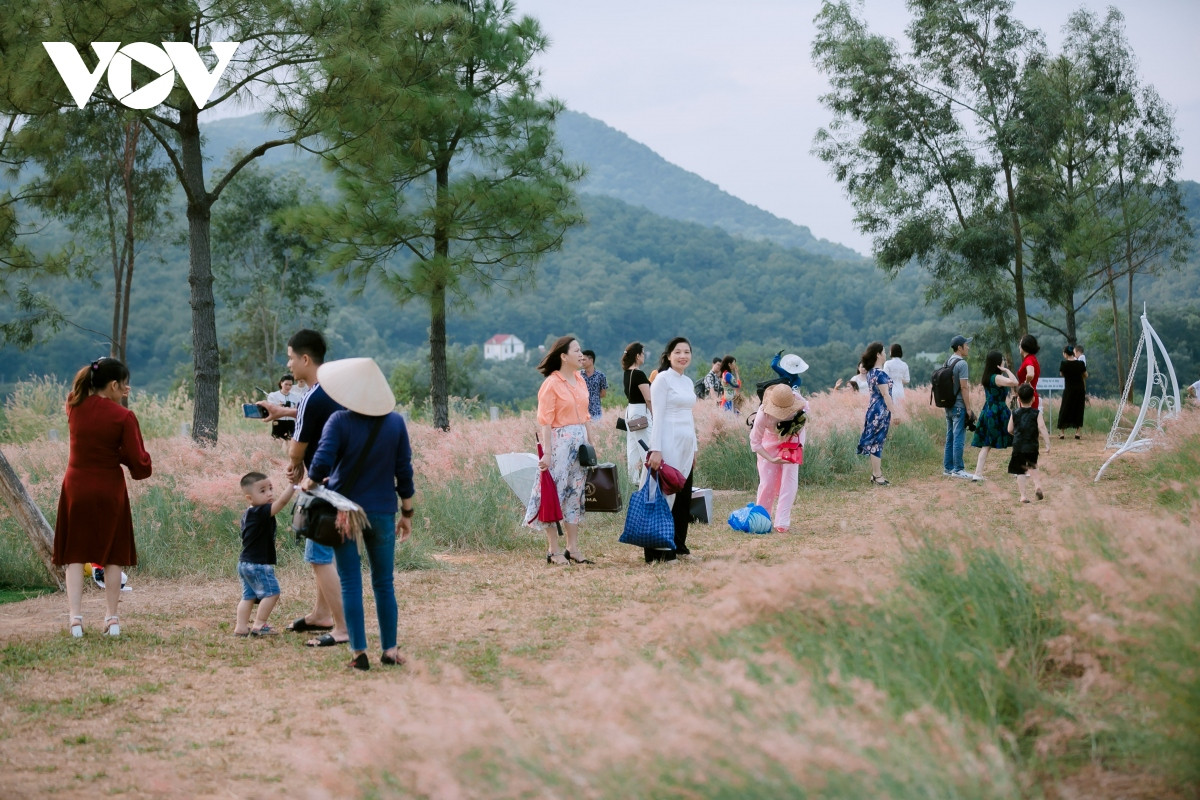 Gần đây, khi ảnh chụp ở đồi cỏ hồng này được chia sẻ trên mạng xã hội, rất nhiều người đã tìm về đây chụp ảnh "sống ảo".