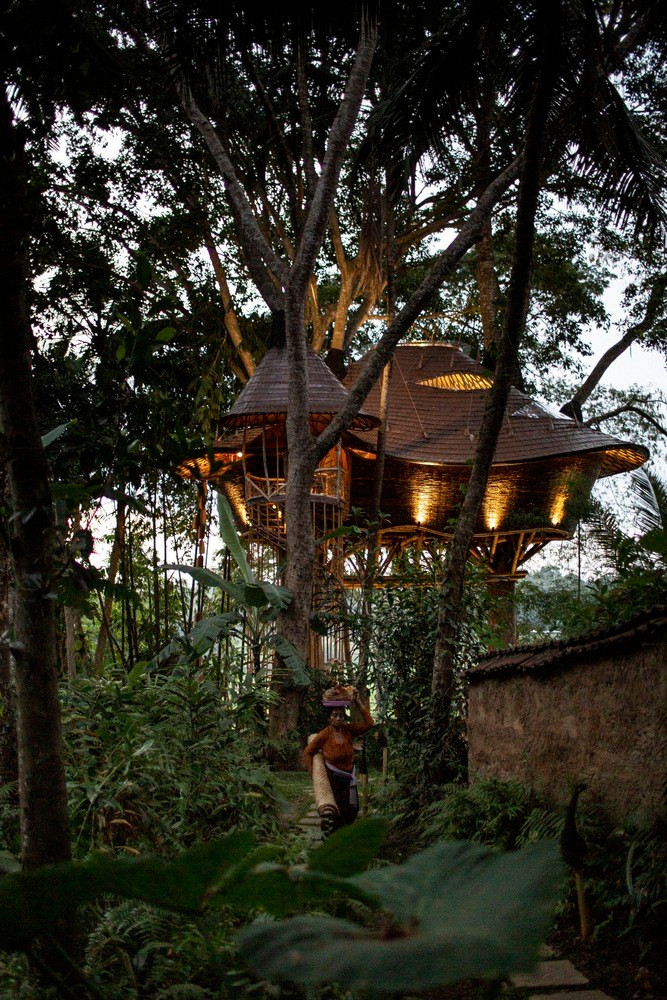 Điều đặc biệt của ngôi nhà là làm hoàn toàn bằng tre, dùng chính 3 thân cây cổ thụ vẫn đang sinh trưởng để làm trụ nhà.