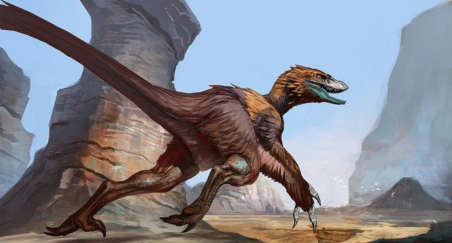 Tìm hiểu về Deinonychus: Loài khủng long sở hữu cú đá chết người - Hình 4 Tim hieu ve Deinonychus: Loai khung long so huu cu da chet nguoi-Hinh-4