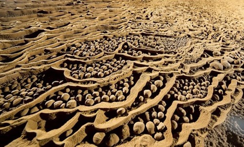 Hanh trinh kham pha Son Doong kho quen cua co gai Viet-Hinh-10