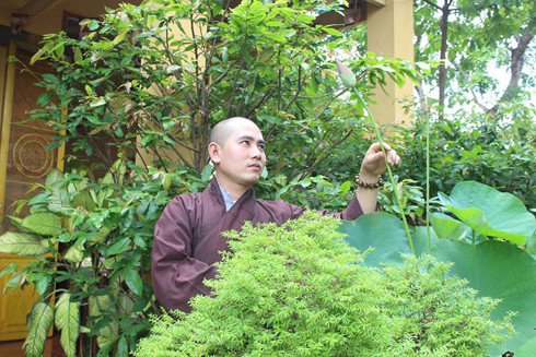 Sư thầy đăng ảnh gần gũi với thiên nhiên lên mạng xã hội.