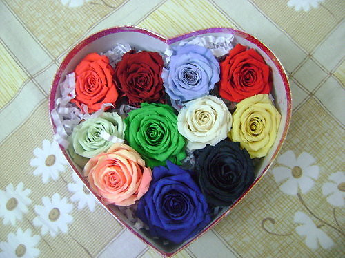 Nhung mon qua doc mung ngay 8/3-Hinh-3