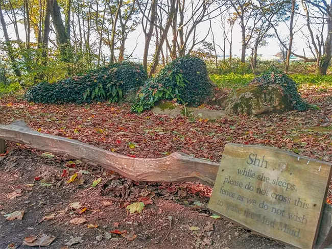 Bi an tuong thieu nu ngu trong rung, tu thay 