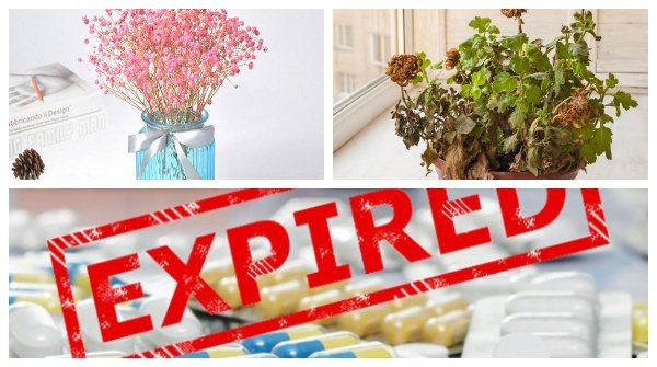 5 mon do khong duoc de trong nha neu muon ket ban Than Tai