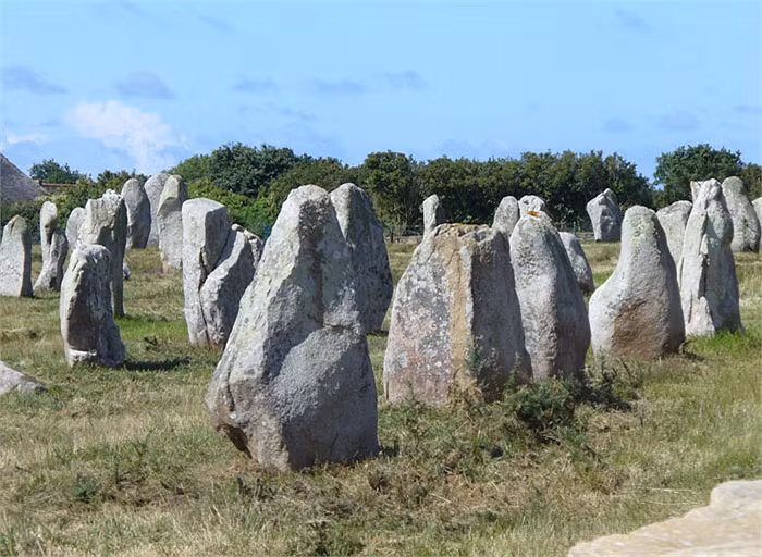 Ở tây bắc nước Pháp có một khu “rừng tượng đá” bí ẩn, thu hút nhiều nhà khảo cổ đến tìm hiểu giải mã.