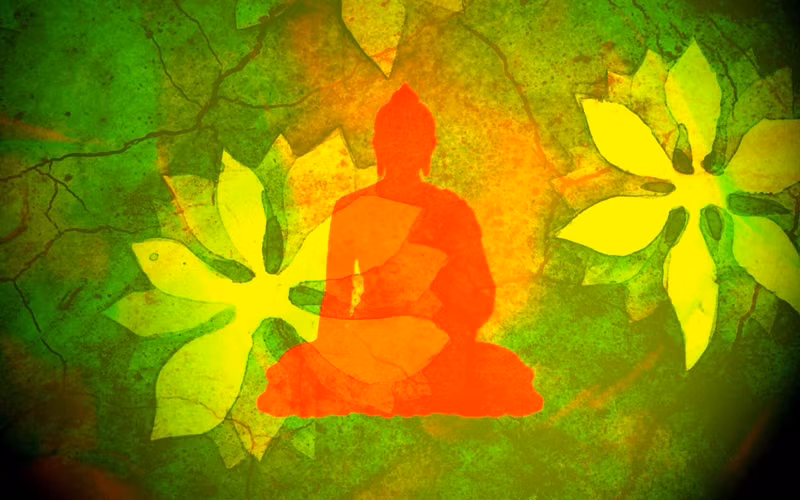 Đức Phật xem sân hận là một loại độc tố có khả năng tàn phá tâm hồn và thể xác con người không chỉ trong đời này mà cả những đời sau.