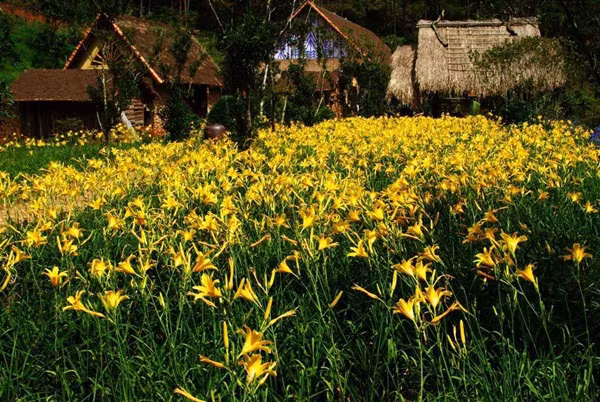 Đa số người dân bản địa nơi đây đã tản đi nơi khác mưu sinh, vì vậy, để ngôi làng truyền thống này không bị biến mất, một công ty du lịch đã quy hoạch và thực hiện các hoạt động bảo tồn, tôn tạo giữ lại những nét đẹp của ngôi làng dưới chân núi Langbiang.