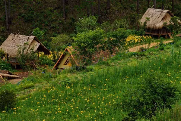 Với định hướng phát triển theo mô hình du lịch, khám phá, du khách đến làng Cù Lần không những được nghỉ ngơi trong một không gian xanh tươi, yên bình giữa núi rừng mà còn được tham gia vào các hoạt động trải nghiệm vô cùng thú vị.