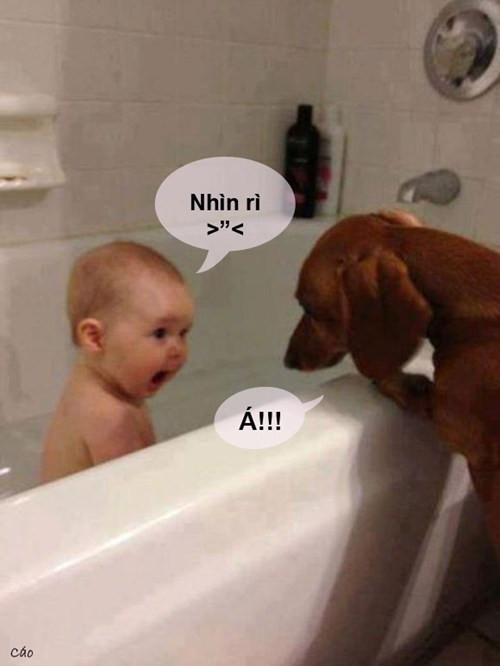 Có tắm không mà nhìn.