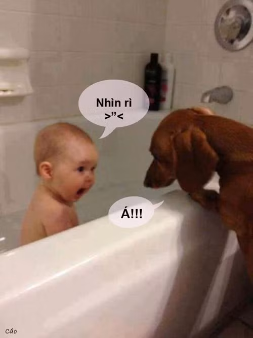 Có tắm không mà nhìn.