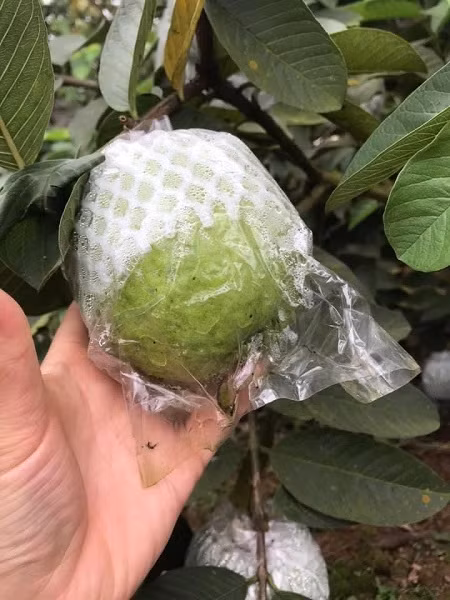 Oi re nhu cho nhung van e am, nguoi nong dan “keu cuu“