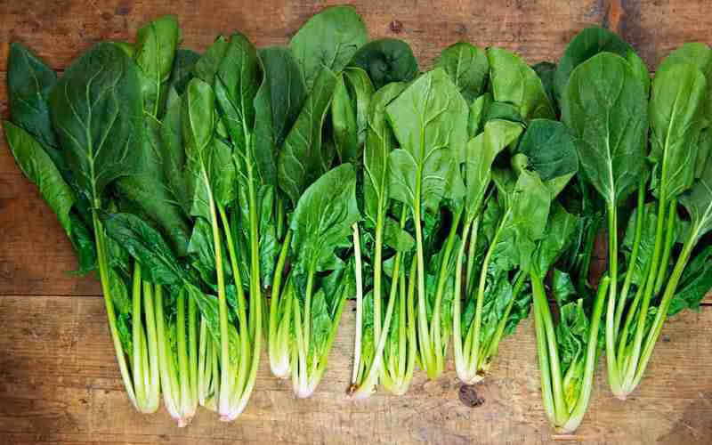 9 mon an nhieu de giam dau dau, chong mat-Hinh-4