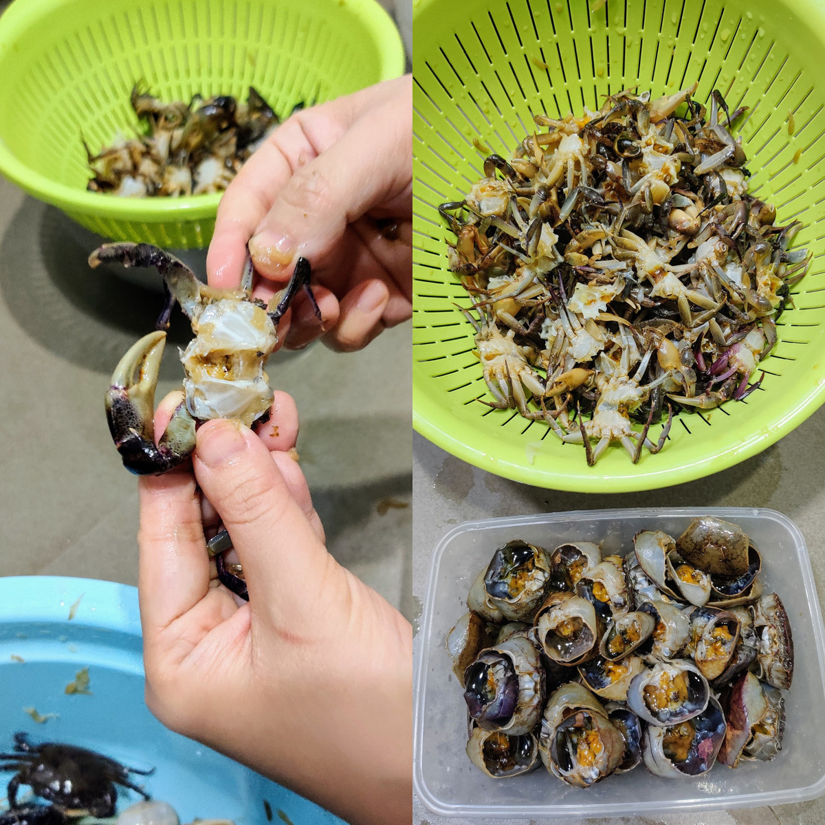 Mẹo làm sạch và lọc cua đồng nhanh nhất, cua thơm ngọt - Hình 4 Meo lam sach va loc cua dong nhanh nhat, cua thom ngot-Hinh-4