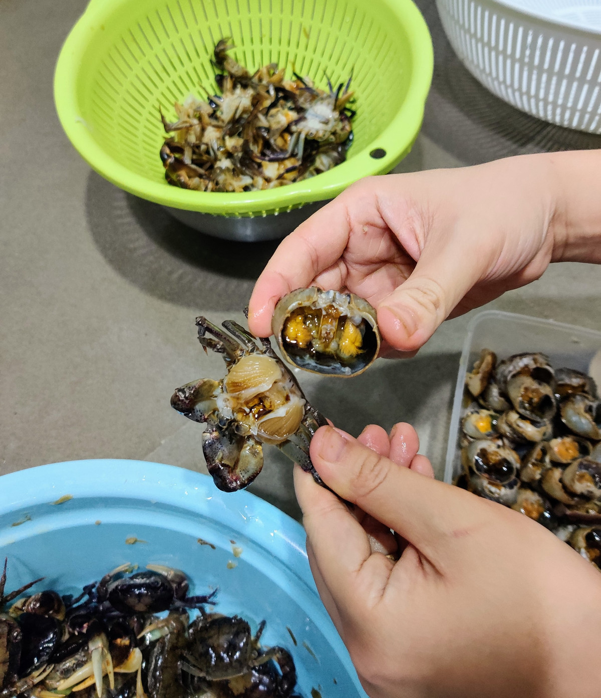 Mẹo làm sạch và lọc cua đồng nhanh nhất, cua thơm ngọt - Hình 2 Meo lam sach va loc cua dong nhanh nhat, cua thom ngot-Hinh-2