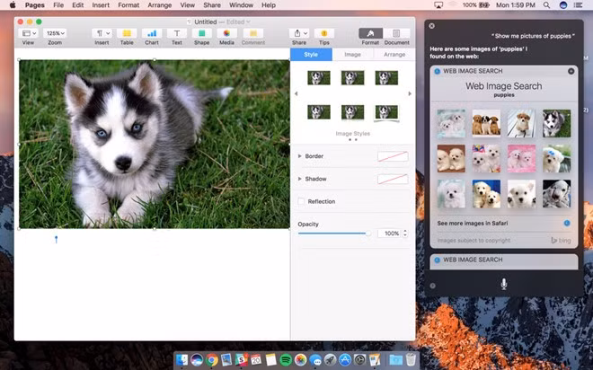 Tuy nhiên, dù có thể nhờ Siri gửi email hay tìm kiếm ảnh…