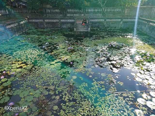 Ống kính G góc rộng 24 mm của Xperia XZ có thể bắt được khoảnh khắc những tia nắng chiều lấp lánh nhảy múa trên mặt hồ sen.
