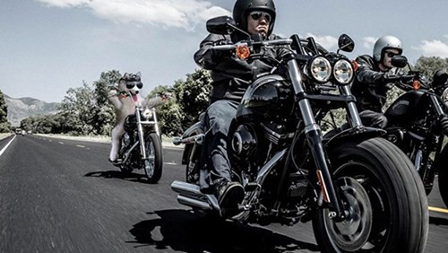 5. Em còn được đua mô tô siêu ngầu, may mà các "thánh photoshop" còn tặng cho em quả kính với chiếc mũ quá hợp.