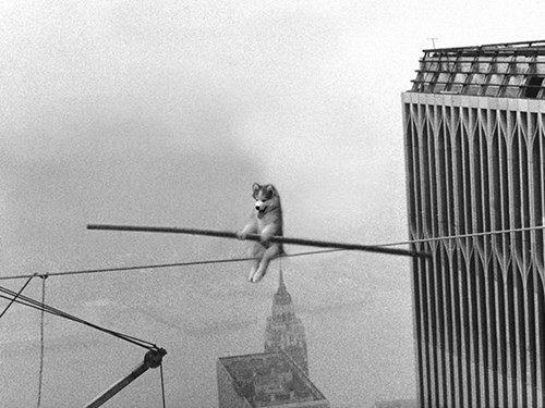 8. Hơi mạo hiểm nhưng em vẫn trình diễn vô cùng đẹp mắt.