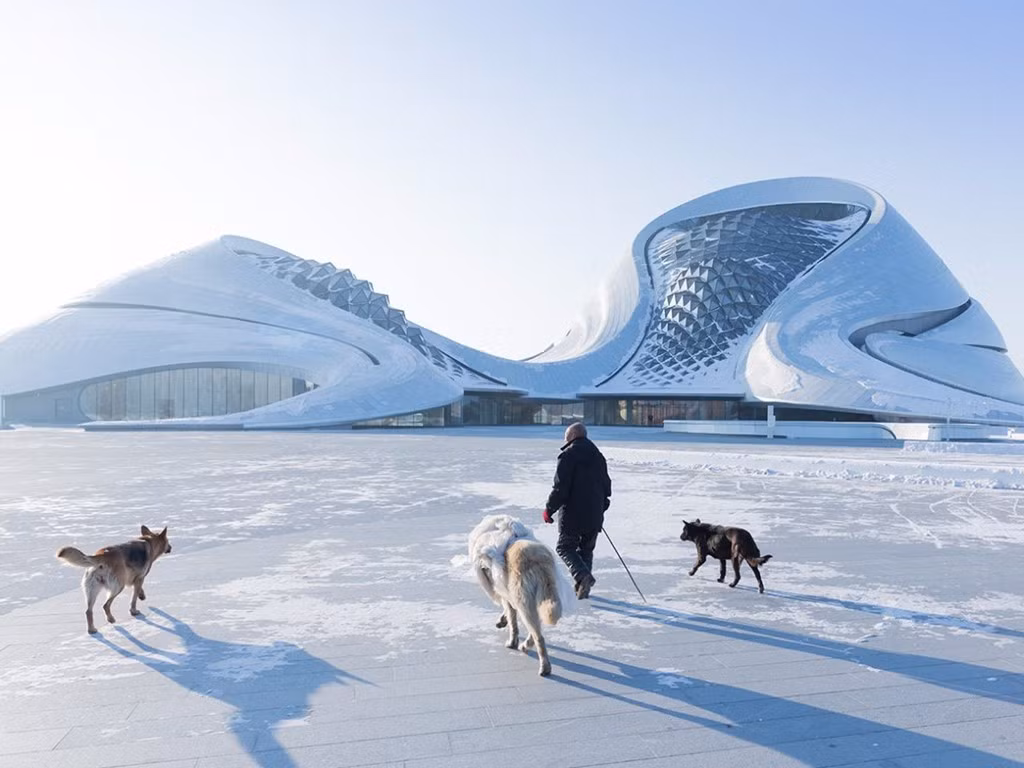 Hoàn thành vào năm 2015, Harbin Opera House được xây dựng tại tỉnh Hắc Long Giang, Trung Quốc. Hình dáng tòa nhà khiến người ta liên tưởng đến những ngọn gió, hòa quyện hoàn hảo với thiên nhiên.