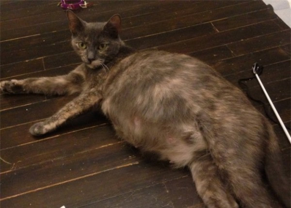 Vỡ chum đến nơi rồi