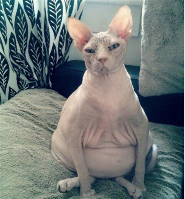 Đây là lần thứ 5 của tôi. Không có gì làm tôi ngạc nhiên nữa