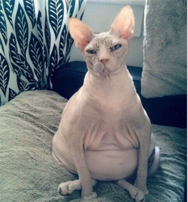 Đây là lần thứ 5 của tôi. Không có gì làm tôi ngạc nhiên nữa