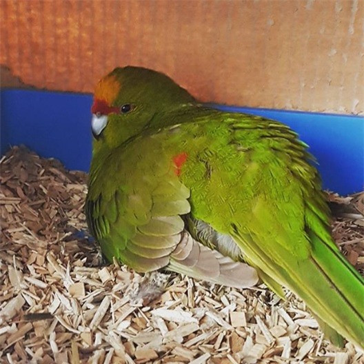 Bạn đang nhìn gì?