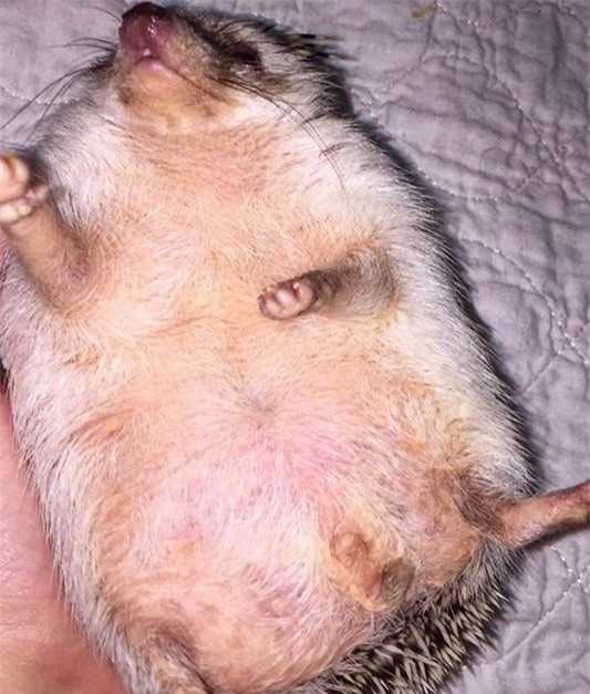 Nếu những đứa trẻ đó đã có kim tiêm thì sao?